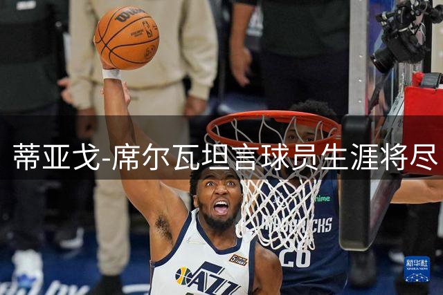 蒂亚戈-席尔瓦坦言球员生涯将尽 教练岗位成未来方向